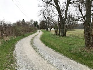 Property photo 5 - LAND AUCTION - 156.63+/- ACRES OFFERED IN 7 TRACTS IN ALLEN COUNTY, INDIANA